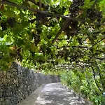 Quilla Agulo