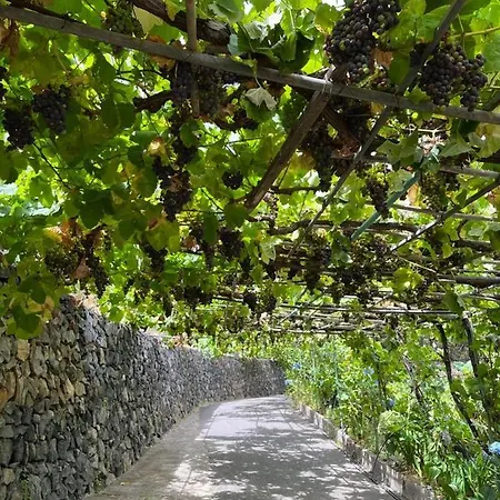 Quilla Agulo